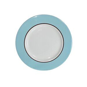 Set Of 4 Pagnossin Treviso 8” Egg Blue & White Ironstone Plates Made In Italy Di